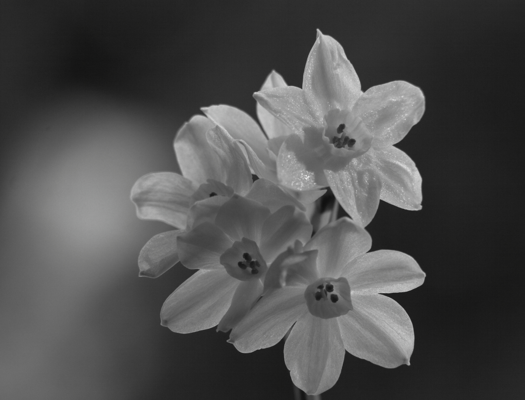 2015 02 10 HTP 000024684ebw